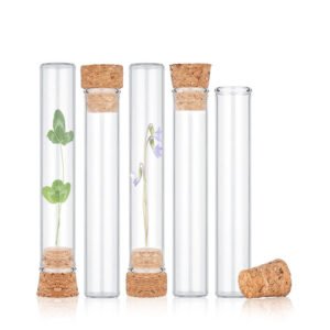 Clear Glass Tubes with Cork Stoppers